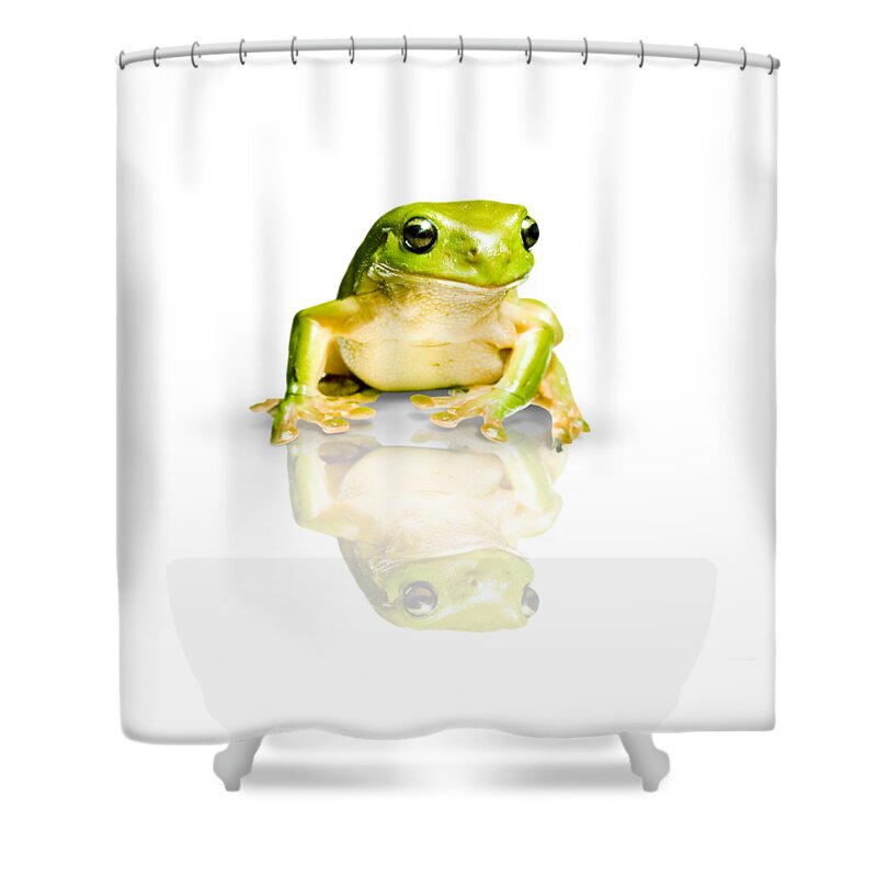 Frog Shower Curtain featuring the photograph Green Tree Frog by Jorgo Photography
