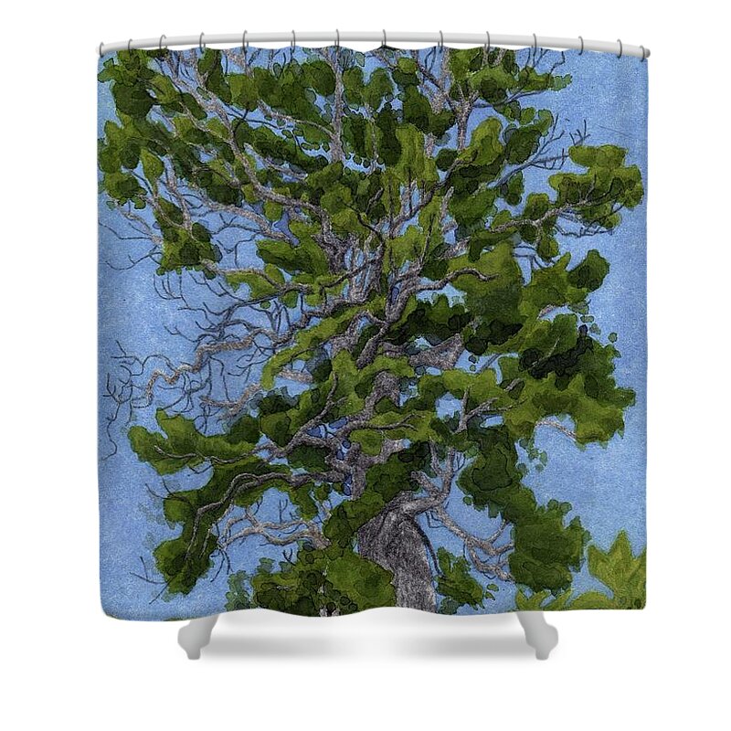 Landscape Shower Curtain featuring the mixed media Green Tree, Hot Day by Alice Ann Barnes