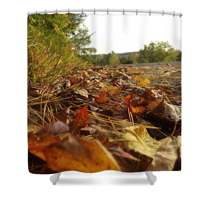 Leaves Shower Curtain featuring the photograph Ground Level by Michelle Hoffmann