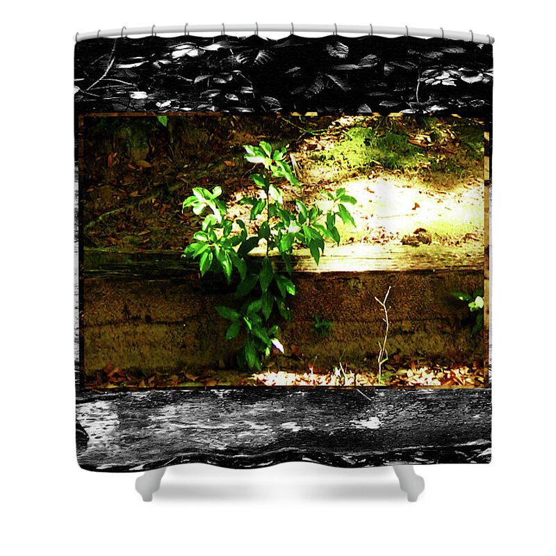 Adaptation Shower Curtain featuring the photograph Growing Where Life Puts Us by Aberjhani