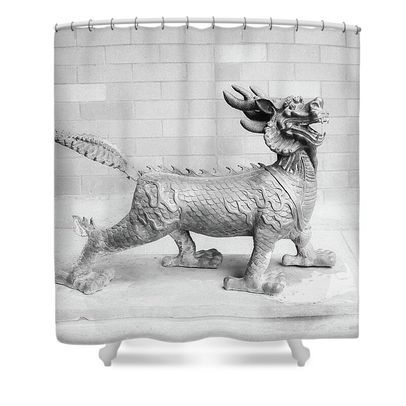 Grayish Shower Curtain featuring the photograph Guard Infrared by Fei A