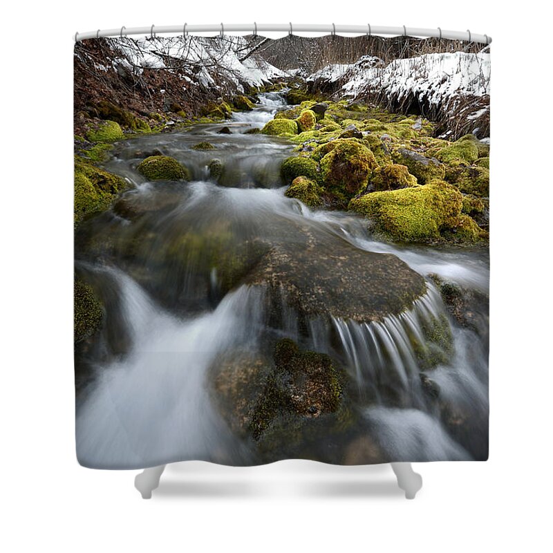 Creek Shower Curtain featuring the photograph Hallow Hollow by David Andersen