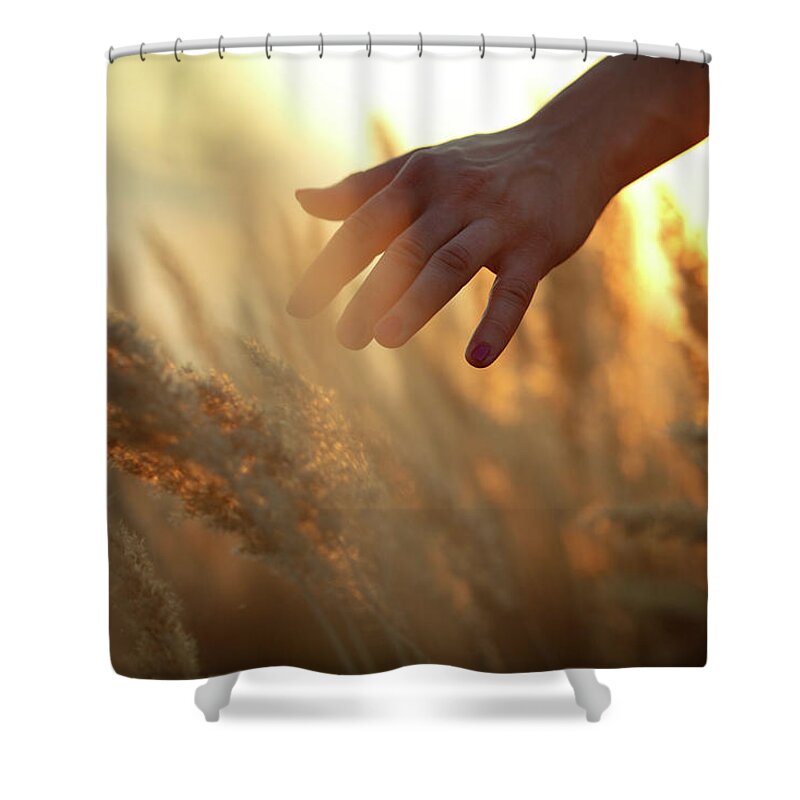 Farm Worker Shower Curtain featuring the photograph Hand In A Field by Aleksandarnakic