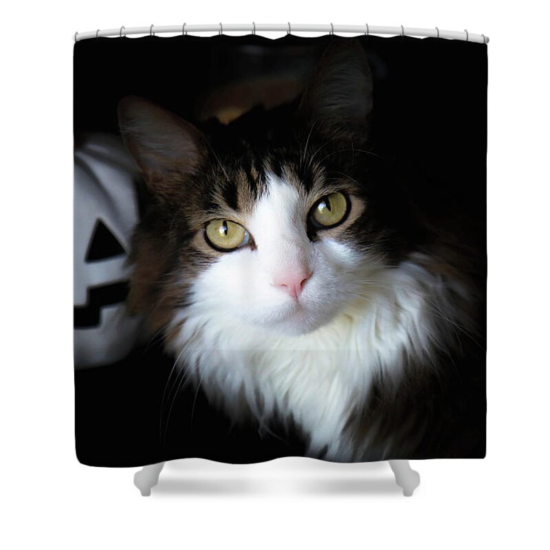 Halloween Shower Curtain featuring the photograph Happy Halloween Cat by Veronica Batterson