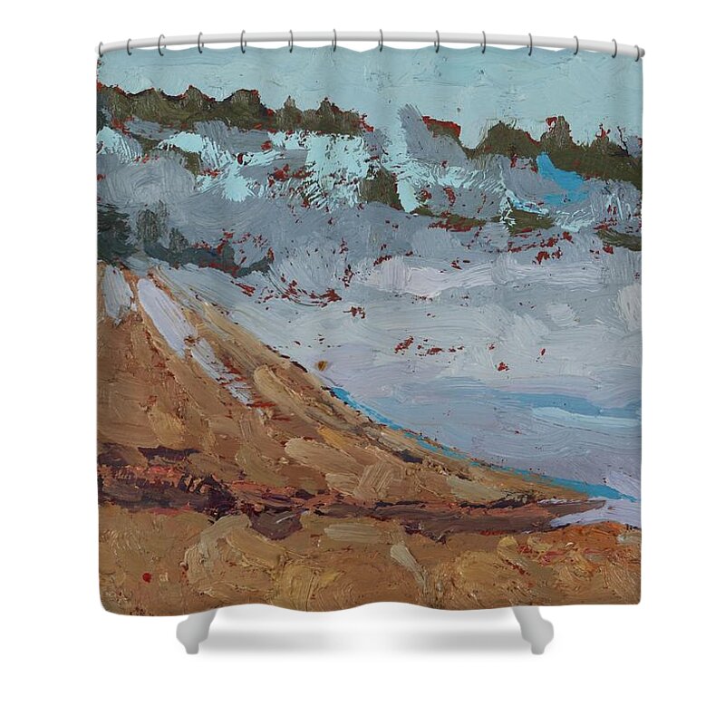 2118 Shower Curtain featuring the painting Harmony Beach Fog and Drizzle by Phil Chadwick