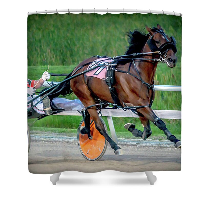 Horse Shower Curtain featuring the photograph Harness Racing by Debra Kewley