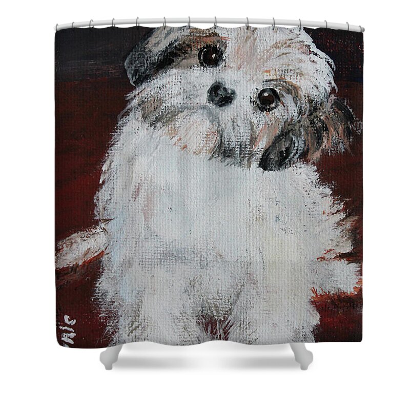 Animal Shower Curtain featuring the painting Havanese Puppy by Lyric Lucas