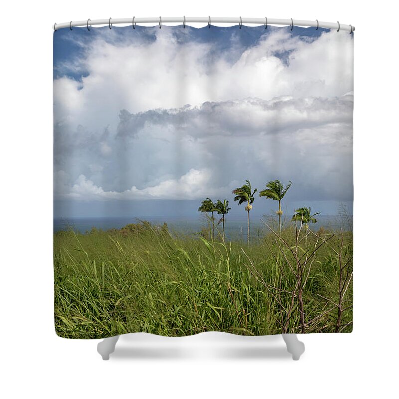 Ocean Shower Curtain featuring the photograph Hawaii Big Island by Jim West