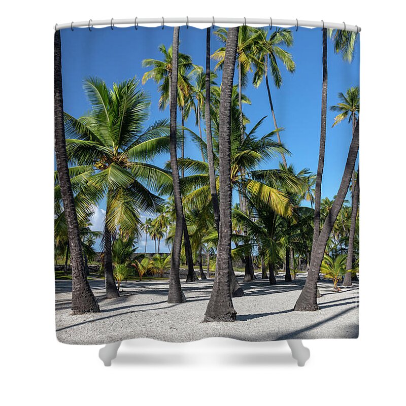 Palm Trees Shower Curtain featuring the photograph Hawaii by Jim West