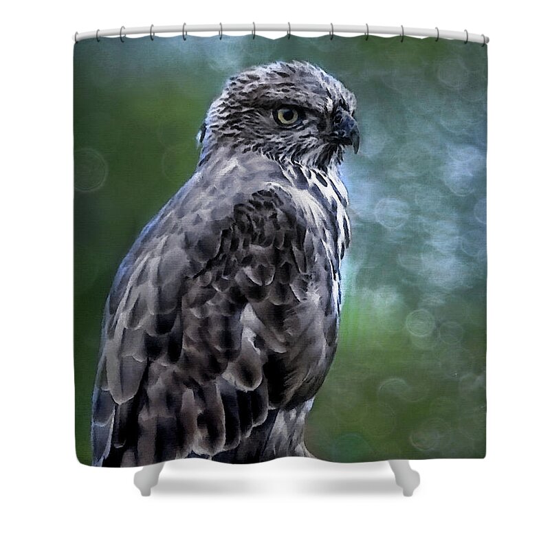 Birds Shower Curtain featuring the photograph Hawk Eagle by Elaine Manley
