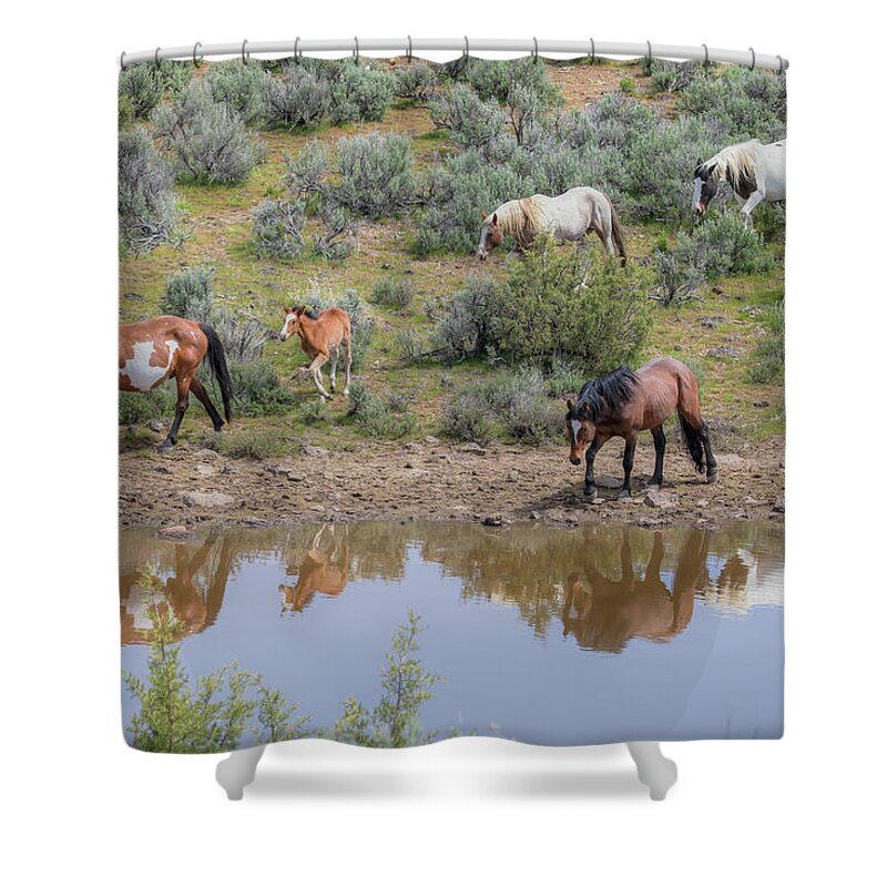 Wild Horses Shower Curtain featuring the photograph Heading to the Waterhole - South Steens Mustangs 0989 by Kristina Rinell