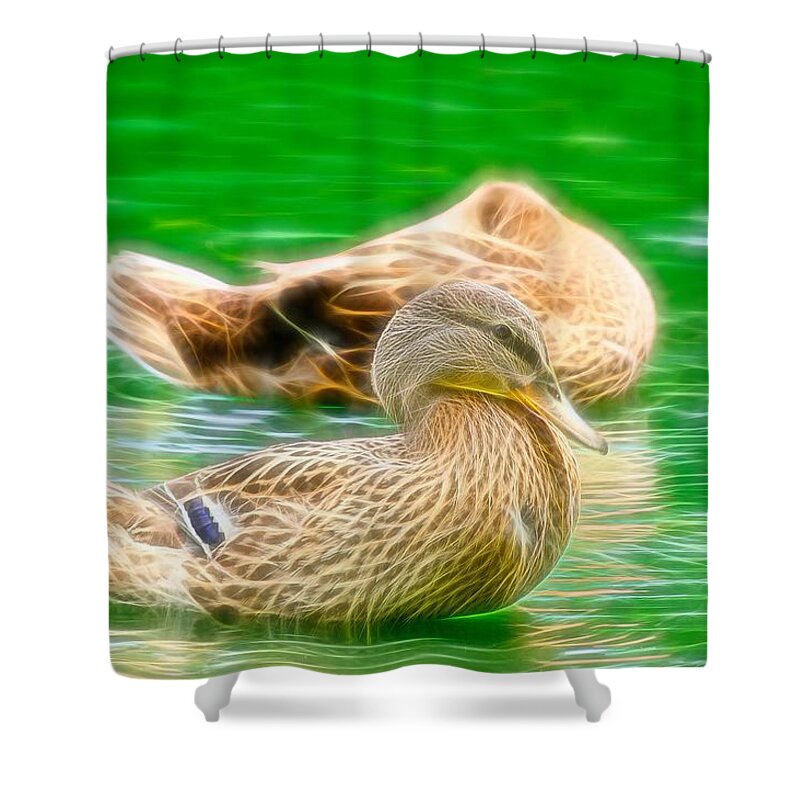 Duck Shower Curtain featuring the photograph Headless Honey Duck Fibers by Don Northup
