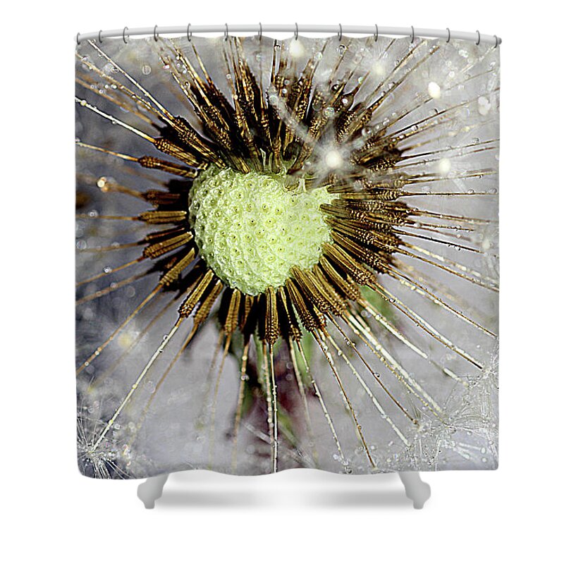 Heart Shape Shower Curtain featuring the photograph Heart of the dandelion by Martin Smith