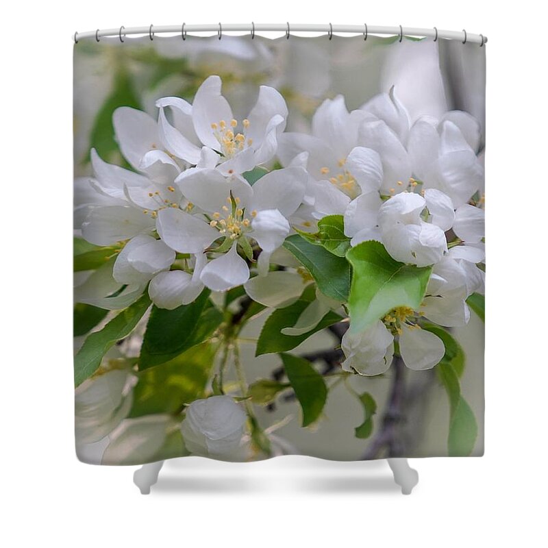 White Shower Curtain featuring the photograph Heavenly Blossoms by Susan Rydberg