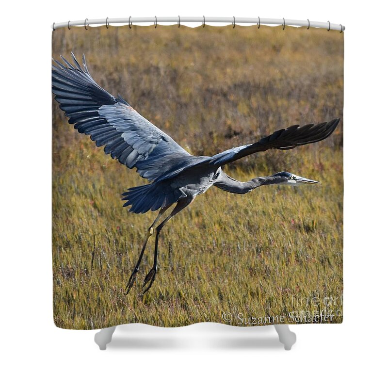 Bird Shower Curtain featuring the photograph Heron in Flight by Suzanne Schaefer