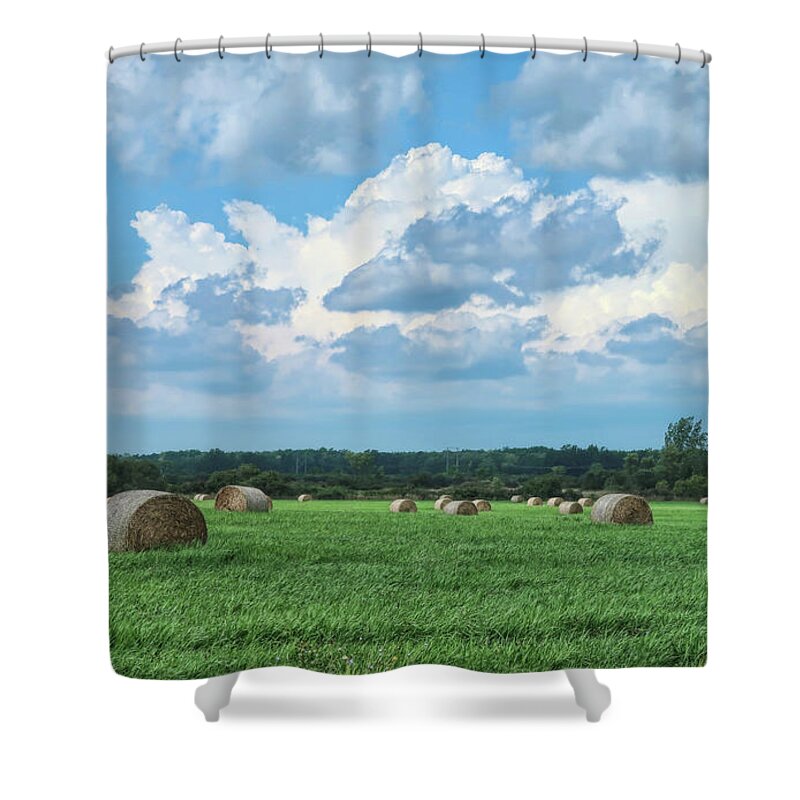 Hay Shower Curtain featuring the photograph Hey, hay by Tammy Espino