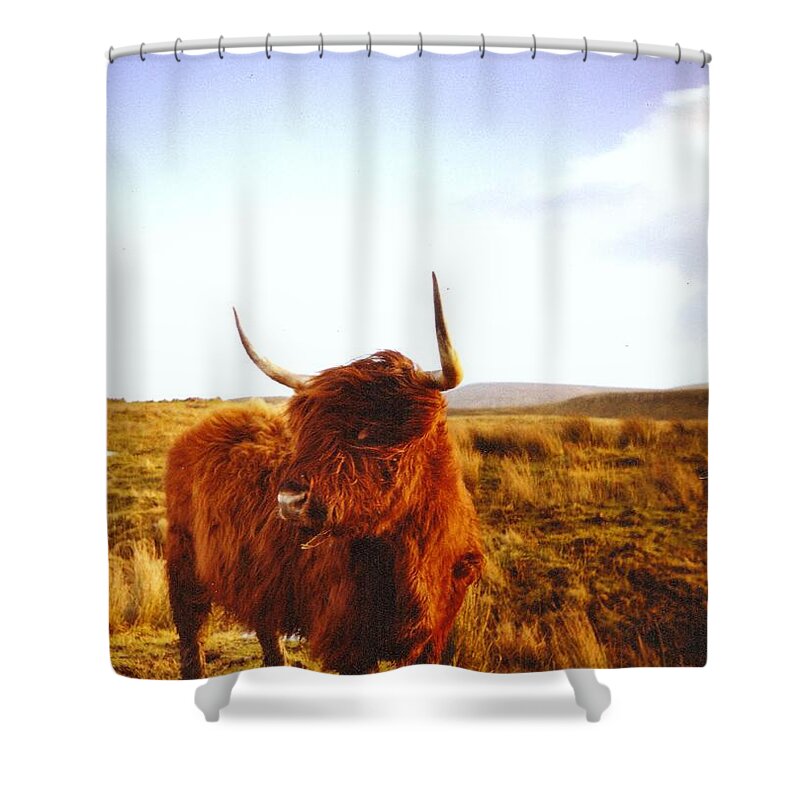 Horned Shower Curtain featuring the photograph Highland Bull by By Hugo César