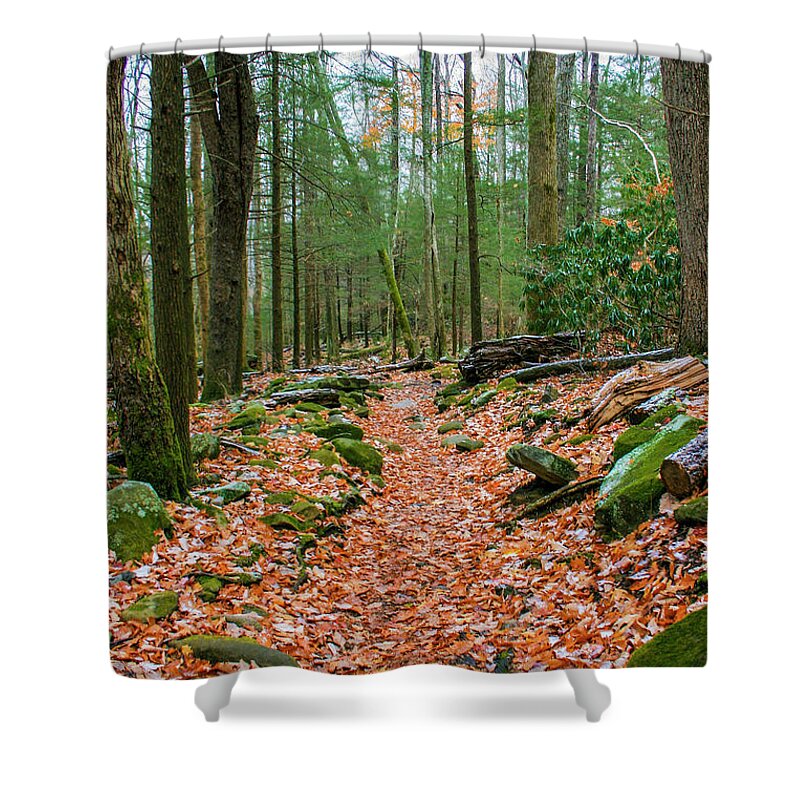 Photo For Sale Shower Curtain featuring the photograph Hiking Trail in Autumn by Robert Wilder Jr