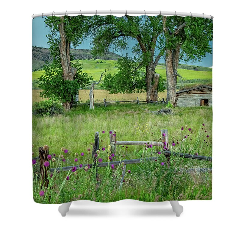 Montana Shower Curtain featuring the photograph Homestead Act Sod Home by Marcy Wielfaert