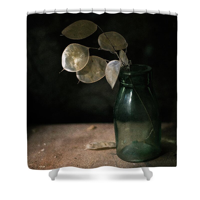 Black Background Shower Curtain featuring the photograph Honesty Seedheads In Antique Bottle by Jill Ferry
