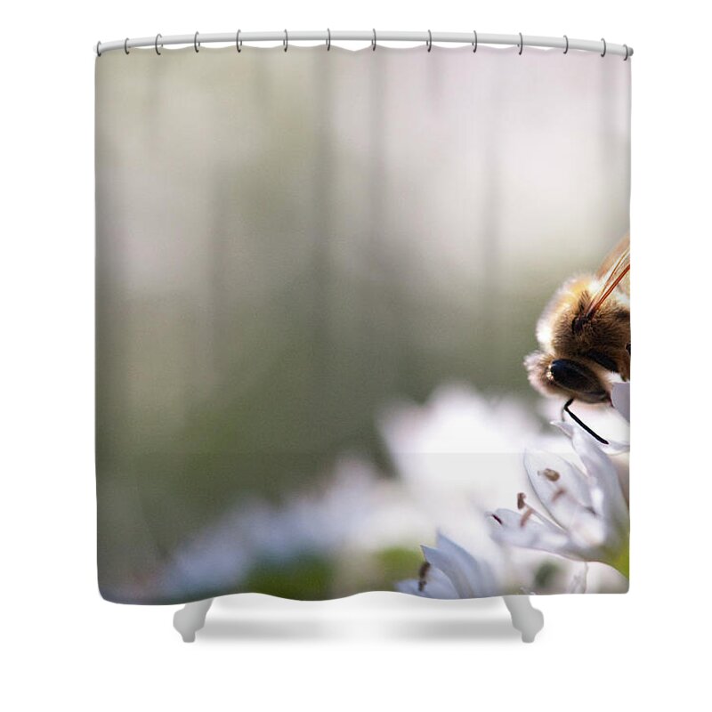 One Animal Shower Curtain featuring the photograph Honey Bee Collecting Pollen And Nectar by Monica Fecke