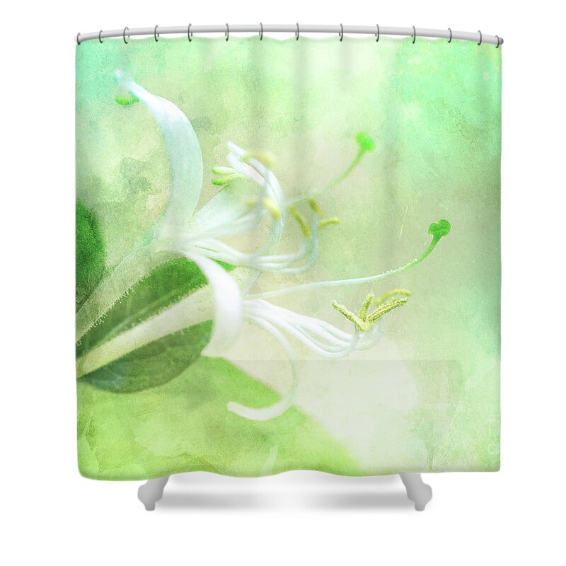 Honeysuckle Shower Curtain featuring the photograph Honeysuckle by Delphimages Photo Creations