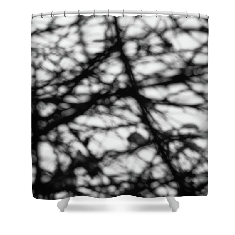 Abstract Shower Curtain featuring the photograph Honeysuckle in December by Deckmans World