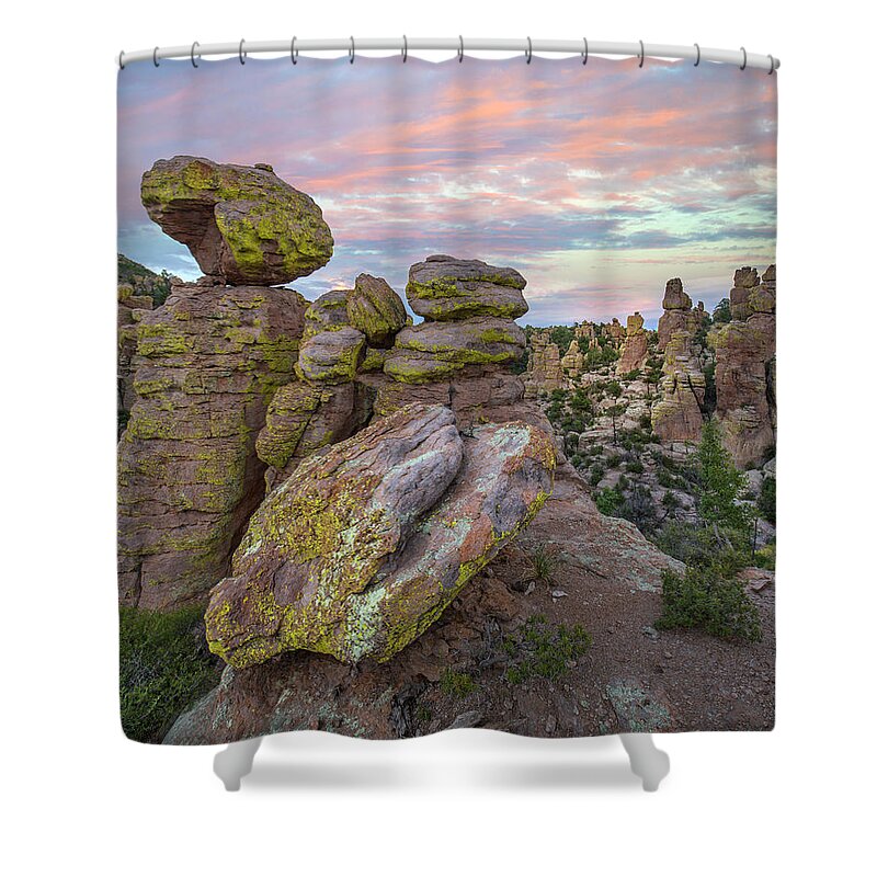 00563972 Shower Curtain featuring the photograph Hoodoos From Ai Point Nature Trail, Echo Canyon, Chiricahua Nm, Arizona by Tim Fitzharris