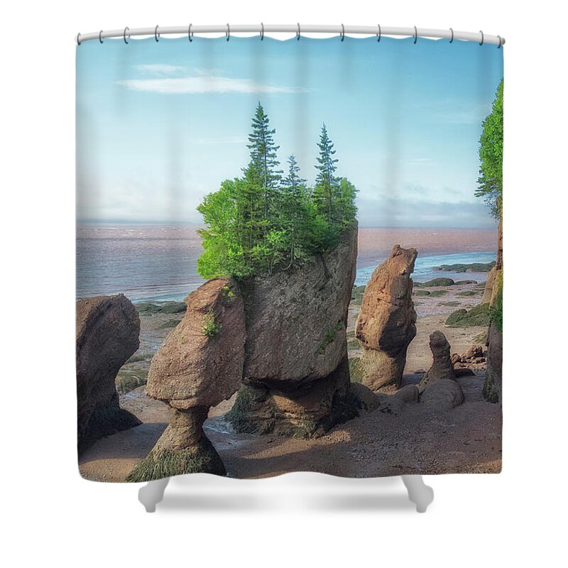 Rocks Shower Curtain featuring the photograph Hopewell Rocks by Mary Lane