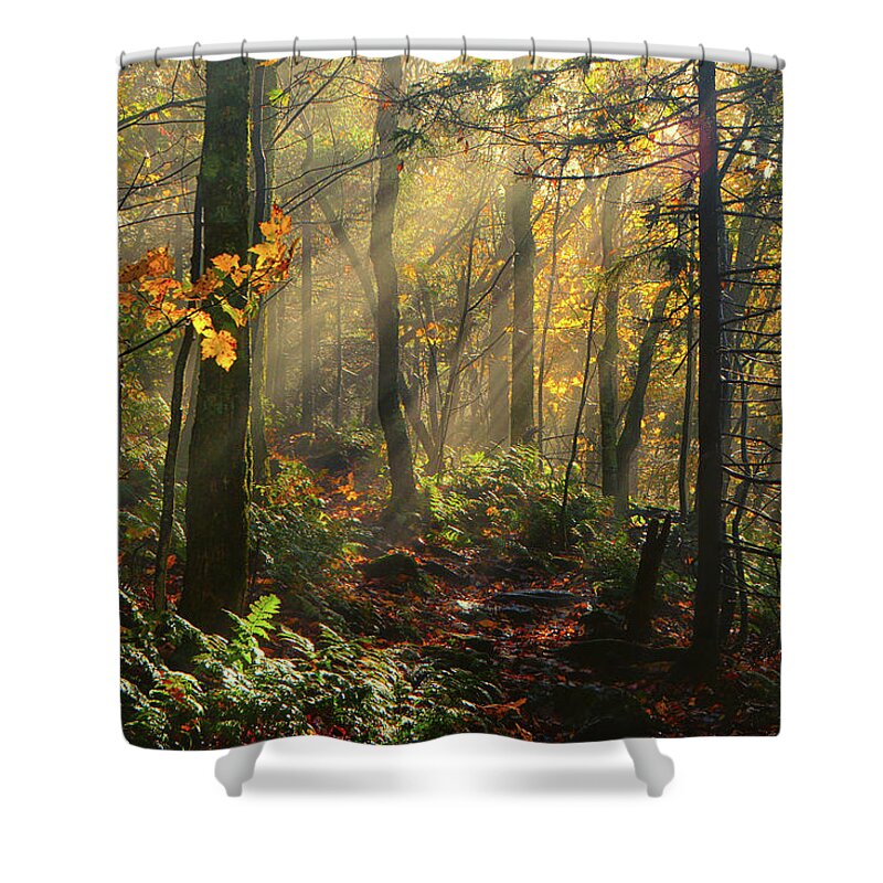  Rays Of Sun After A Storm Shower Curtain featuring the photograph Horizontal Rays of Sun After a Storm by Raymond Salani III
