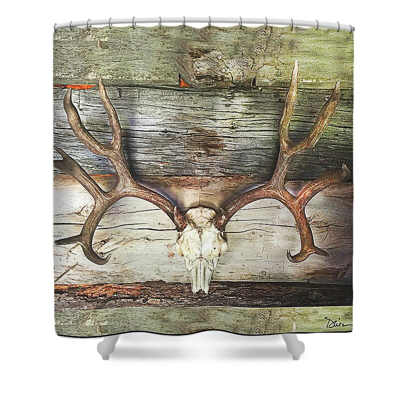 Skull Shower Curtain featuring the photograph Horns by Peggy Dietz
