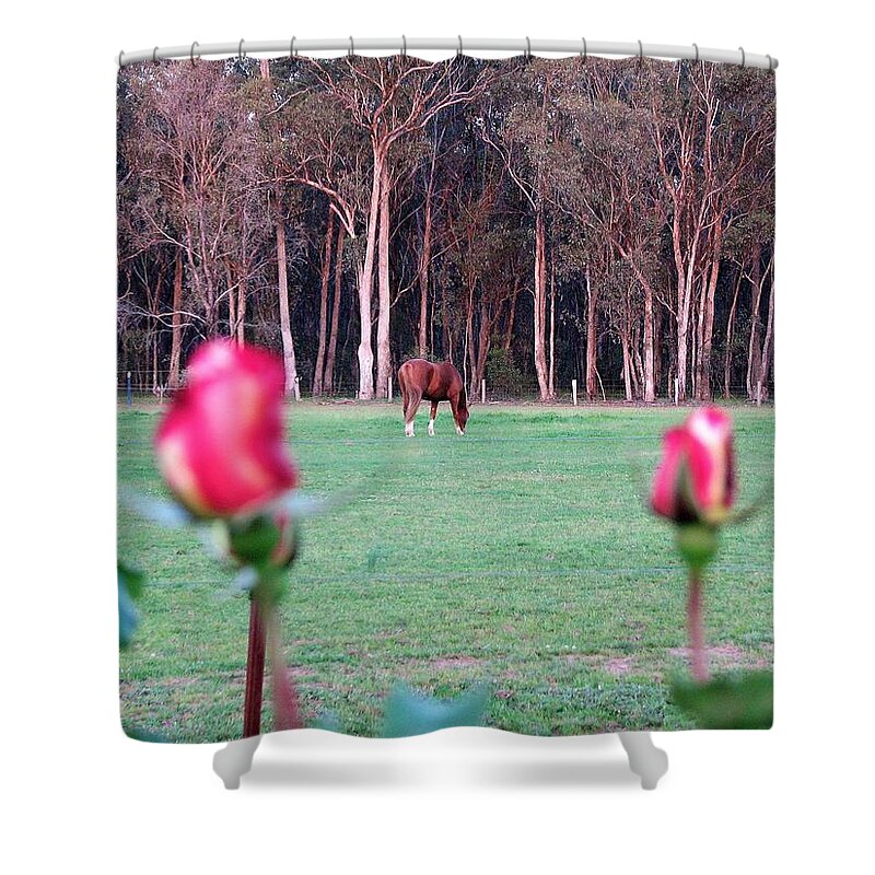 View Shower Curtain featuring the photograph Horse and Roses by Joan Stratton