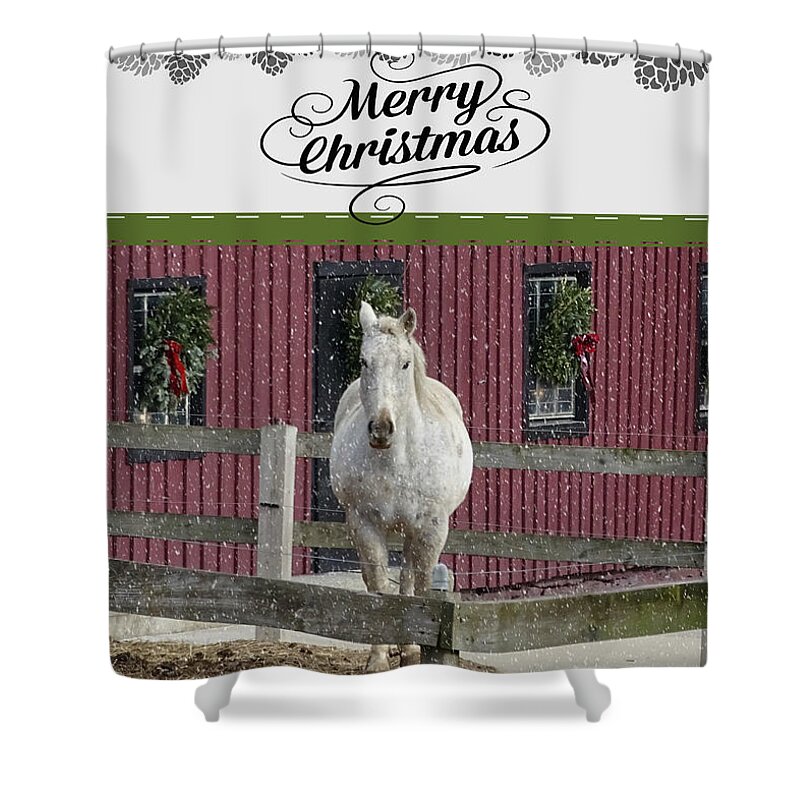 Horse Card Shower Curtain featuring the photograph Horse Card by Dark Whimsy