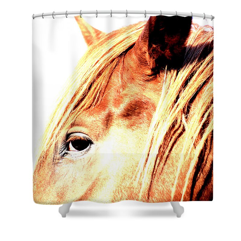Horse Shower Curtain featuring the photograph Horse Close Up Of The Head Side View by Mike Hill