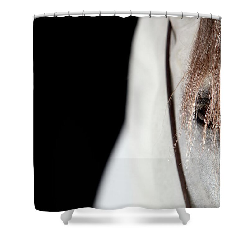 Horse Shower Curtain featuring the photograph Horse Face Close-up by Monica Rodriguez
