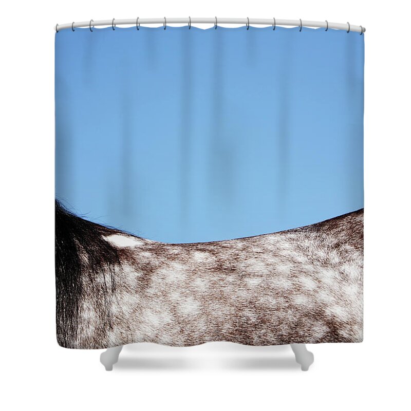 Horse Shower Curtain featuring the photograph Horses Back by Monica Rodriguez