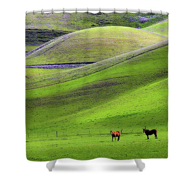 Horse Shower Curtain featuring the photograph Horses In Hill Country by Mitch Diamond