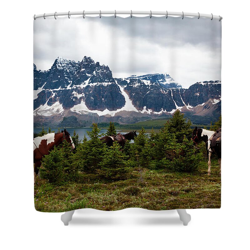 Horse Shower Curtain featuring the photograph Horses, Jasper National Park, Alberta by Mint Images/ Art Wolfe