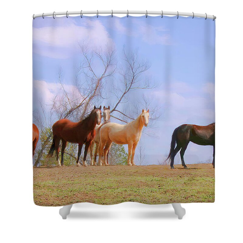Horses Shower Curtain featuring the photograph Horses on the Hill by Bonnie Willis