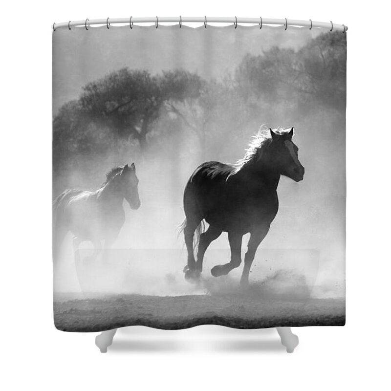 Photo Shower Curtain featuring the photograph Horses on the run by Top Wallpapers