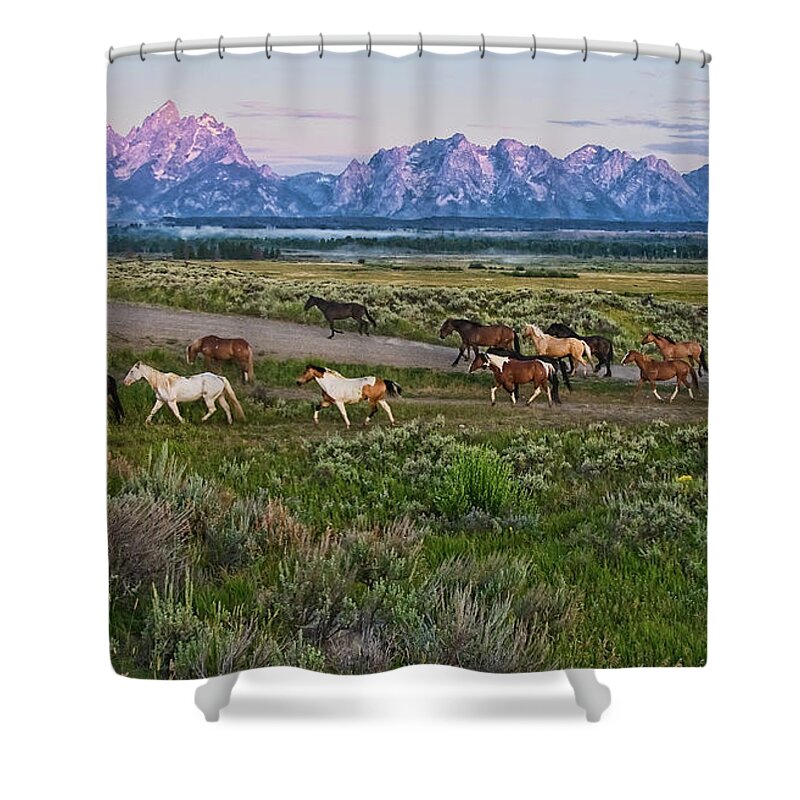 Horse Shower Curtain featuring the photograph Horses Walk by Jeff R Clow