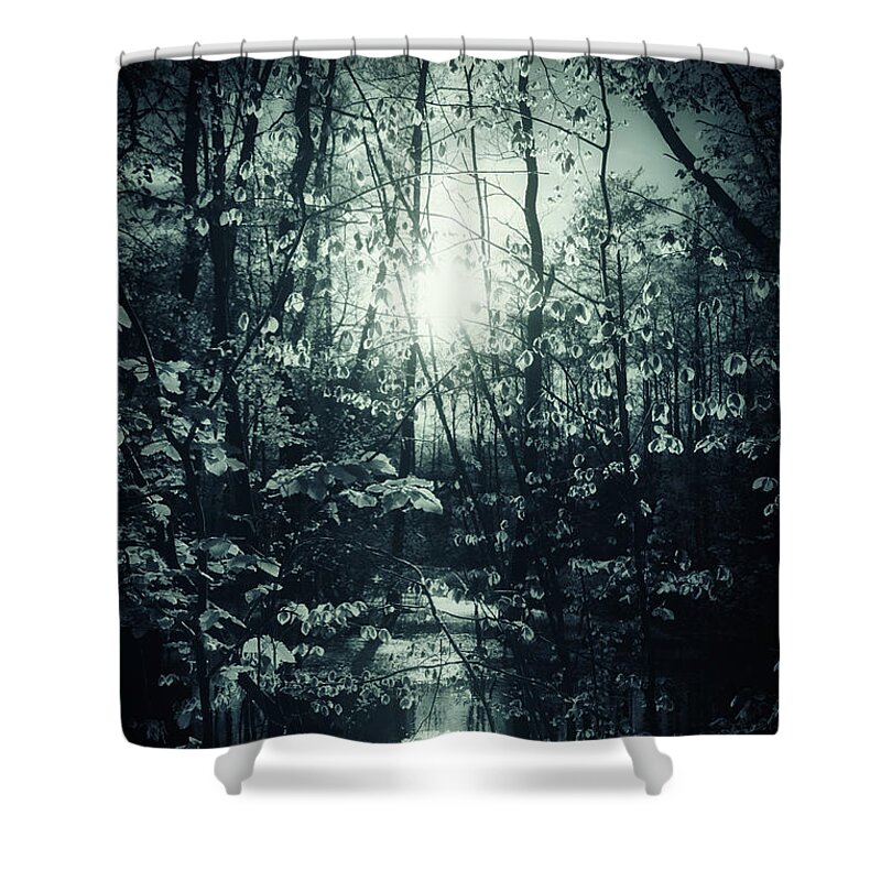 Lake Shower Curtain featuring the photograph Hours Of Significance by Dorit Fuhg