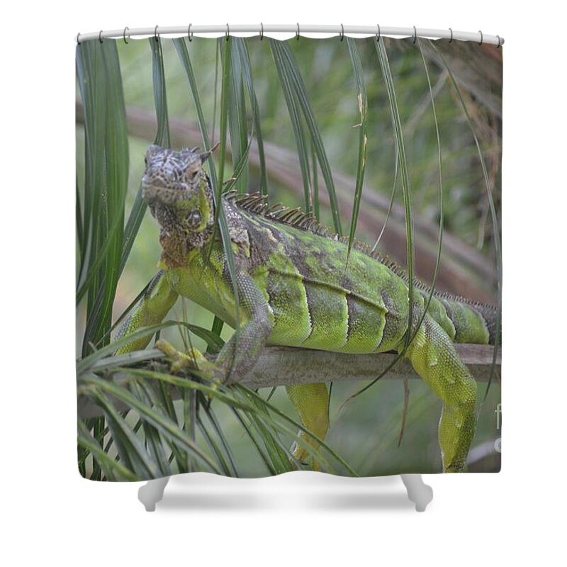  Aicy Shower Curtain featuring the photograph How Relaxed Can I Get? by Aicy Karbstein