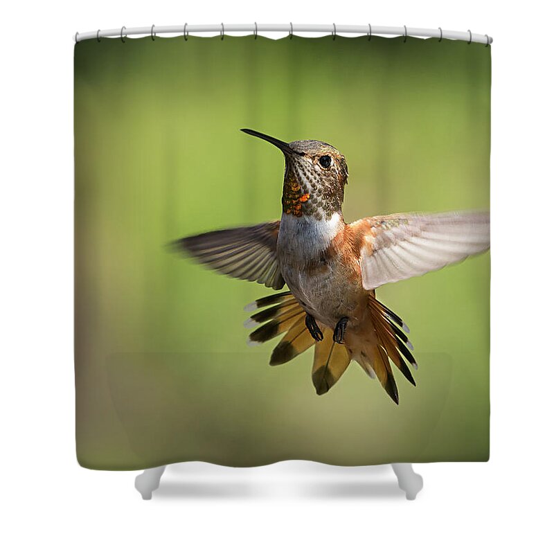 Hummer Shower Curtain featuring the photograph Hummingbird 6 by Endre Balogh
