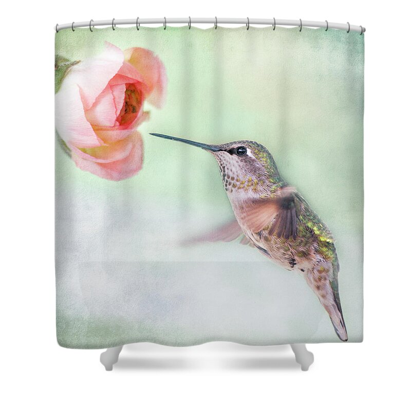 Animal Themes Shower Curtain featuring the photograph Hummingbird And Ranunculus by Susangaryphotography