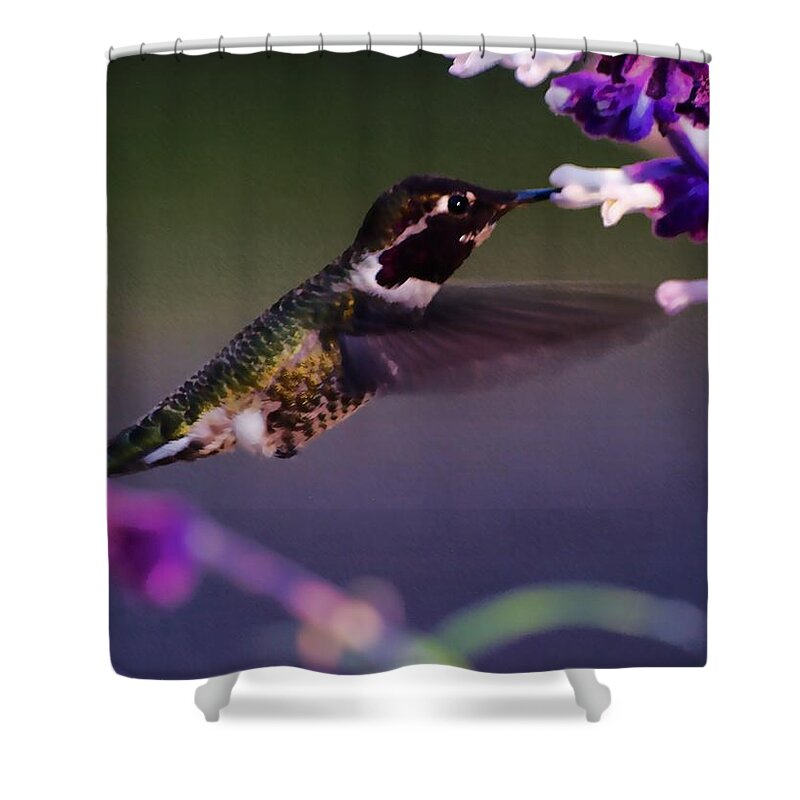 Animal Shower Curtain featuring the photograph Hummingbird HDR by Richard Thomas
