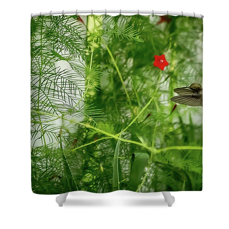 Birds Shower Curtain featuring the digital art Hummingbird picking its Cypress by Ed Stines
