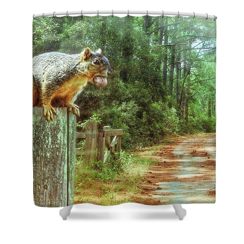 Squirrel Shower Curtain featuring the photograph Hungry Squirrel by Bonnie Willis