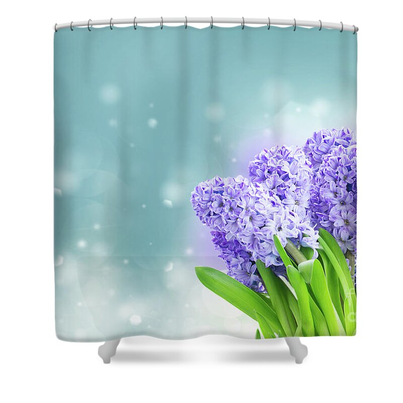 Hyacinth Shower Curtain featuring the photograph Dreamy Blue by Anastasy Yarmolovich