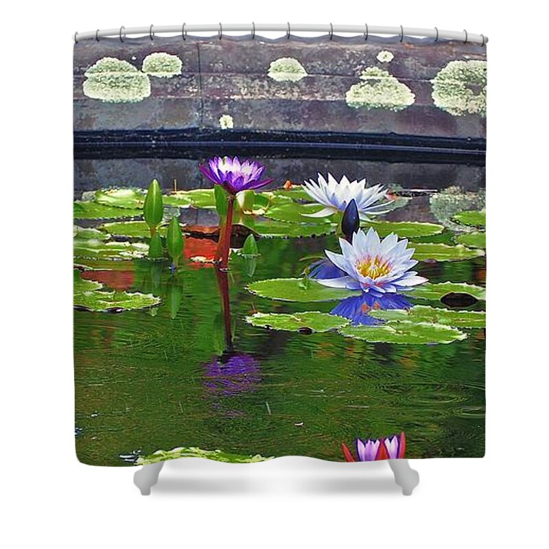 Fountain Shower Curtain featuring the photograph I Am Fragile And I Am Strong by Alida M Haslett